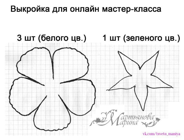 Чашелистик для розы из фоамирана шаблон