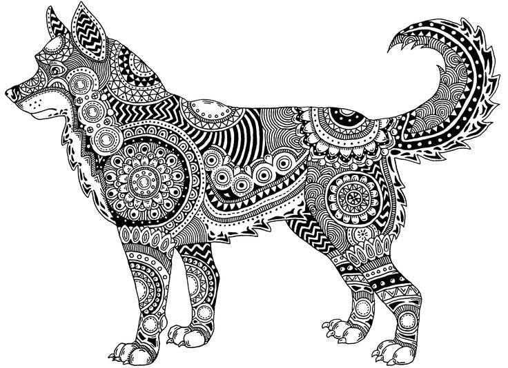 Хаски Зентангл