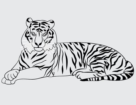 Тигр трафарет
