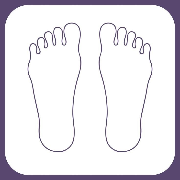 Контур стопы