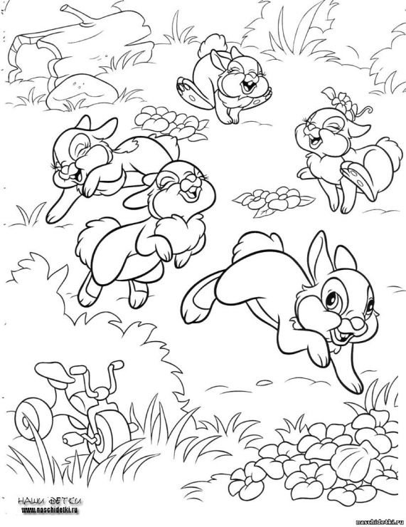 Зайчик раскраска для детей