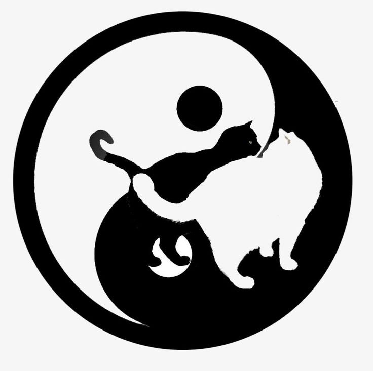 Инь Янь рисунок