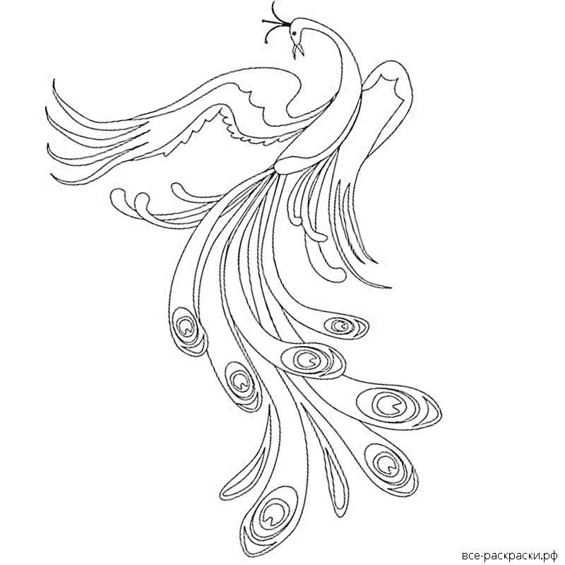 Жар птица рисунок