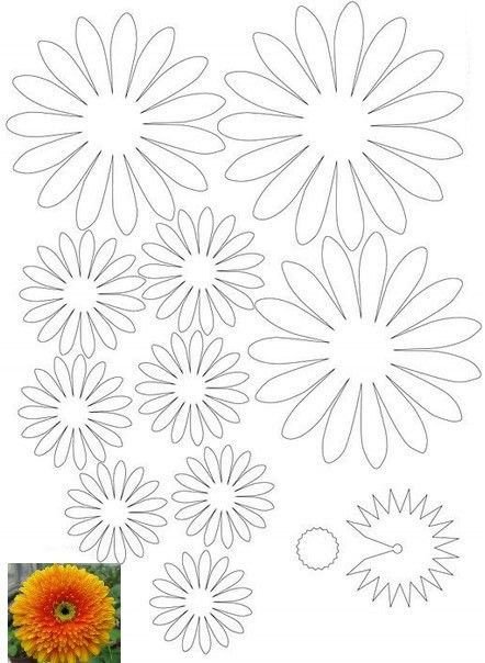 Шаблоны объемных цветов из бумаги