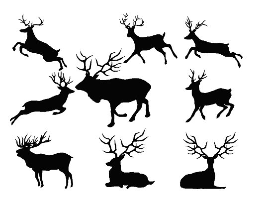 Силуэт оленя