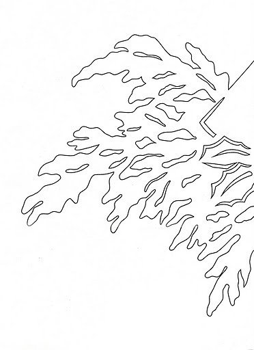 Ветка на окно трафарет