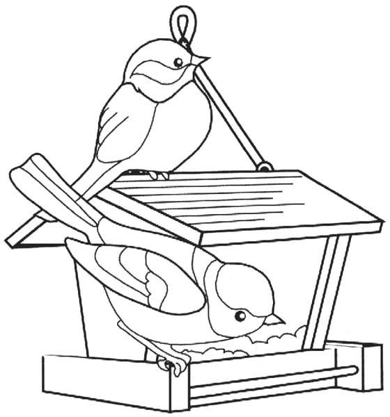Раскраска кормушка для птиц для детей