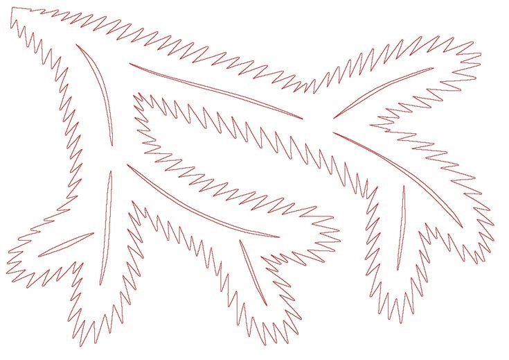 Ветки елки для вырезания на окно