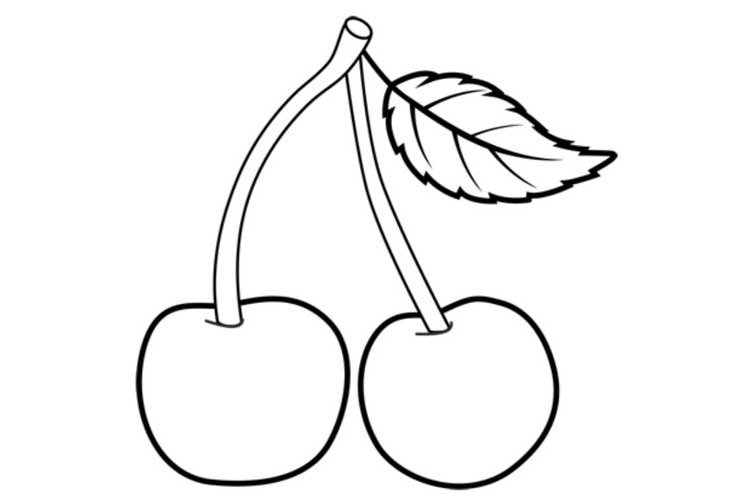 Вишня для срисовки