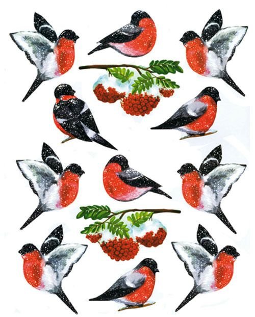 Снегирь для детей