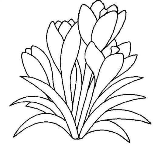 Трафареты весенних цветов