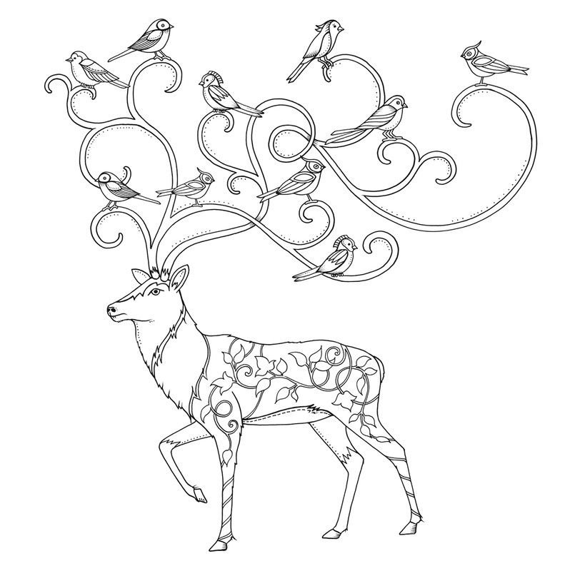 Раскраска-антистресс животные