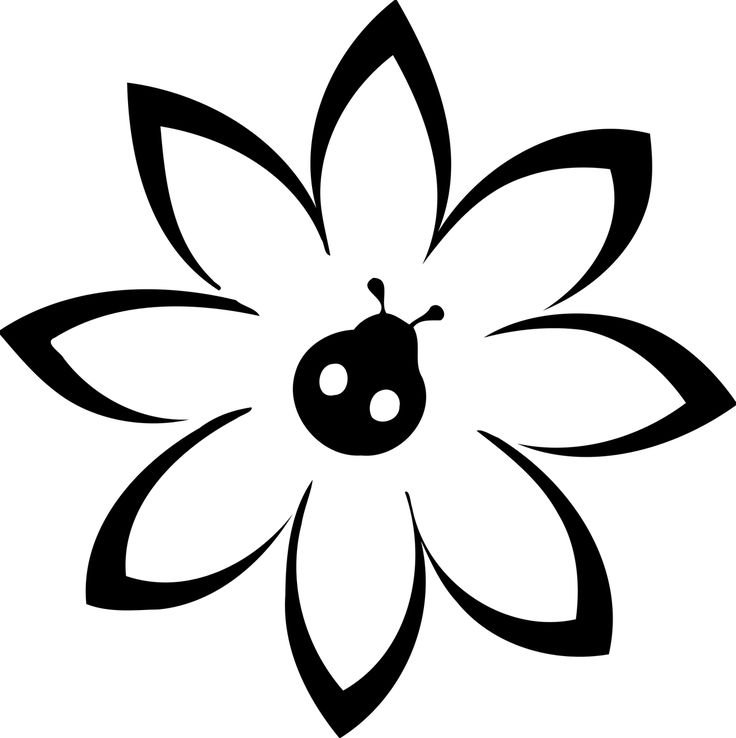 Контур цветов