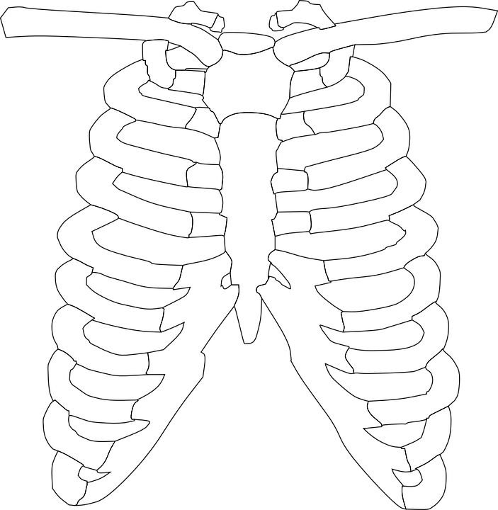 Кости скелета для костюма Кощея