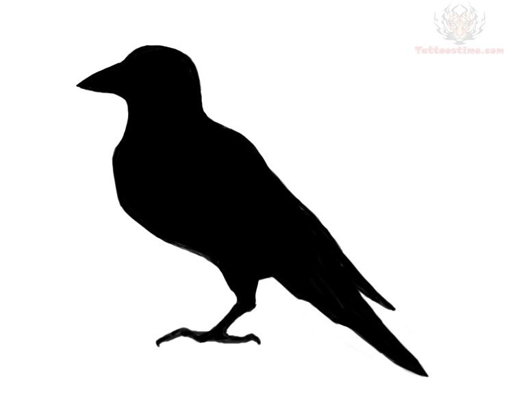 Ворона контур