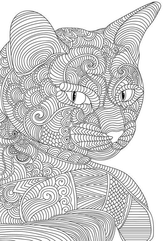 Раскраски сложные