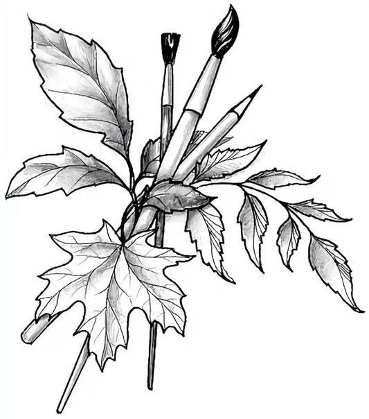 Раскраска осенний букет из листьев