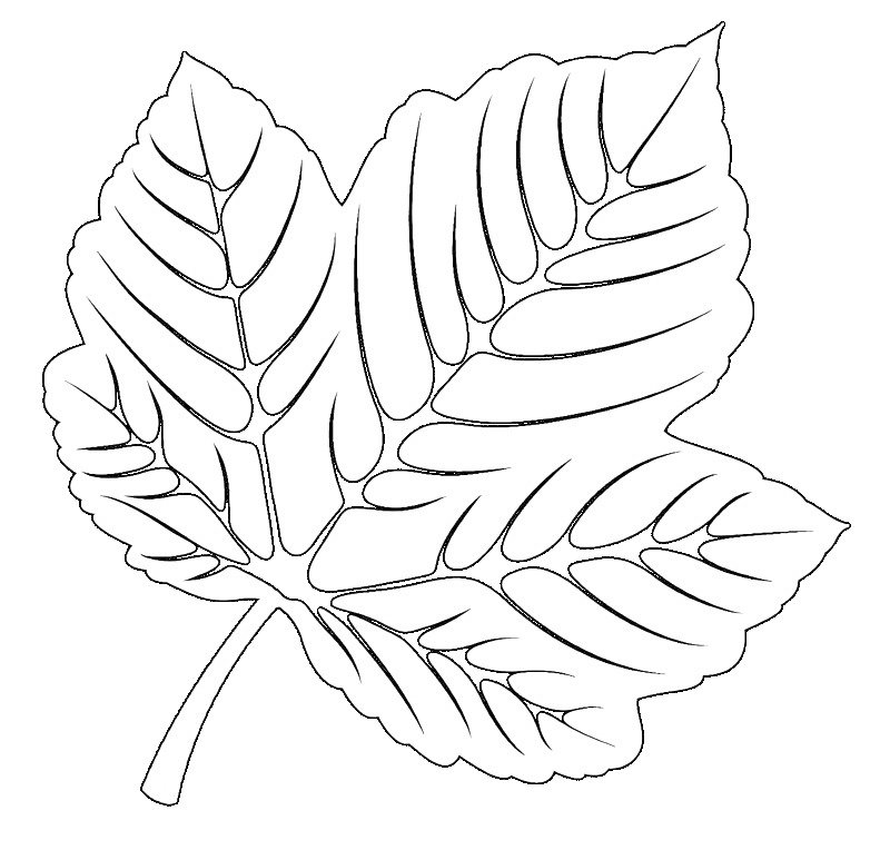 Трафареты "листья"