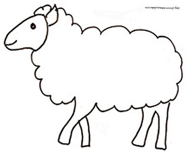 Овца раскраска для детей