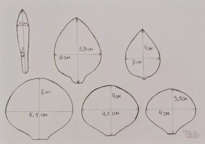 Розы из фоамирана шаблоны лепестков