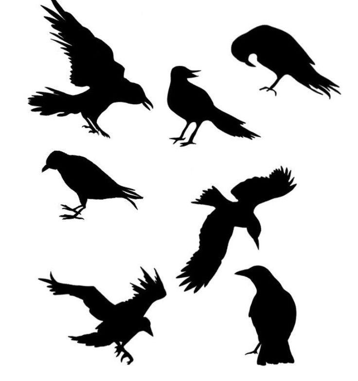 Силуэт вороны