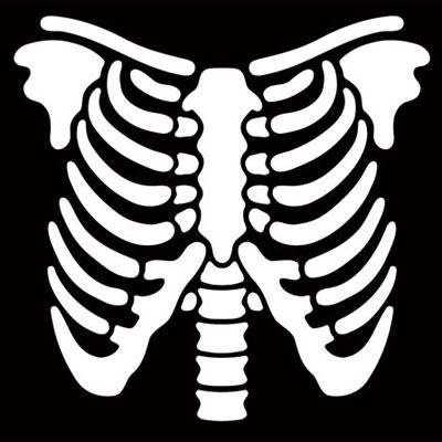 Грудная клетка вектор