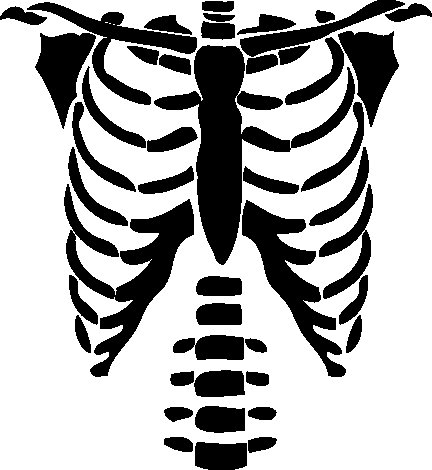 Ребра принт