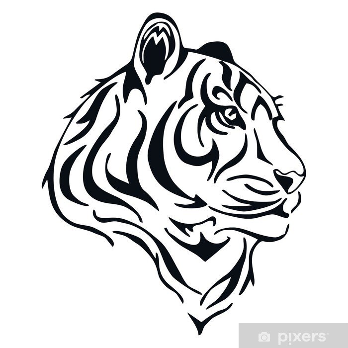 Тигр контур