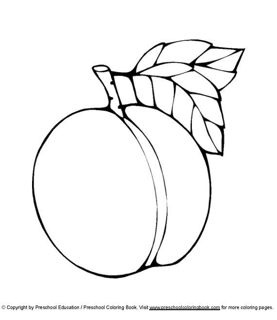 Абрикос раскраска для детей