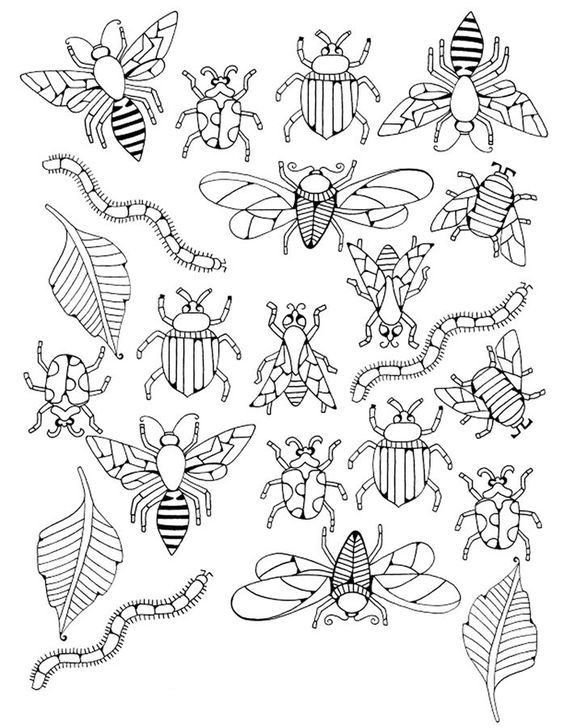 Насекомые раскраска для детей