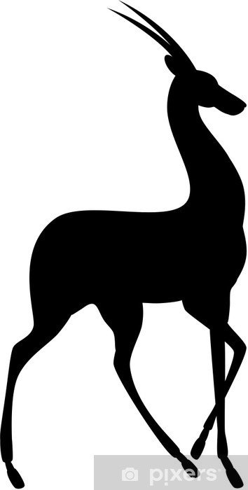 Газель животное