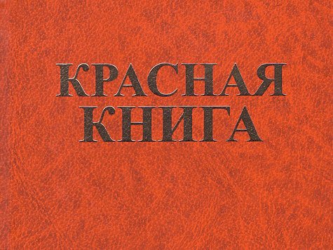 Надпись красная книга