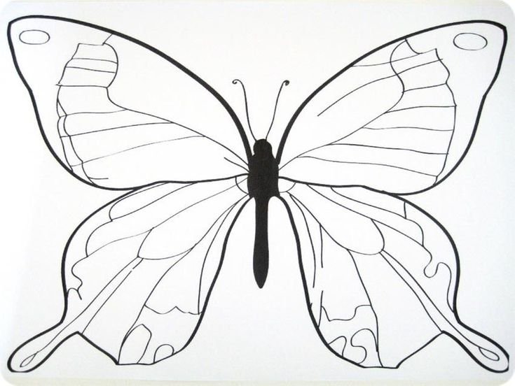 Трафарет бабочка для рисования