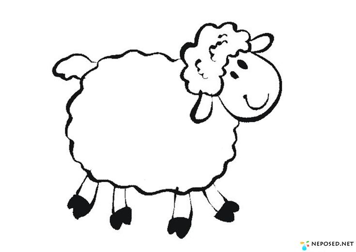 Барашек раскраска
