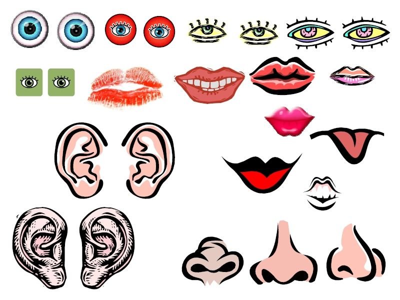 Глаза нос рот