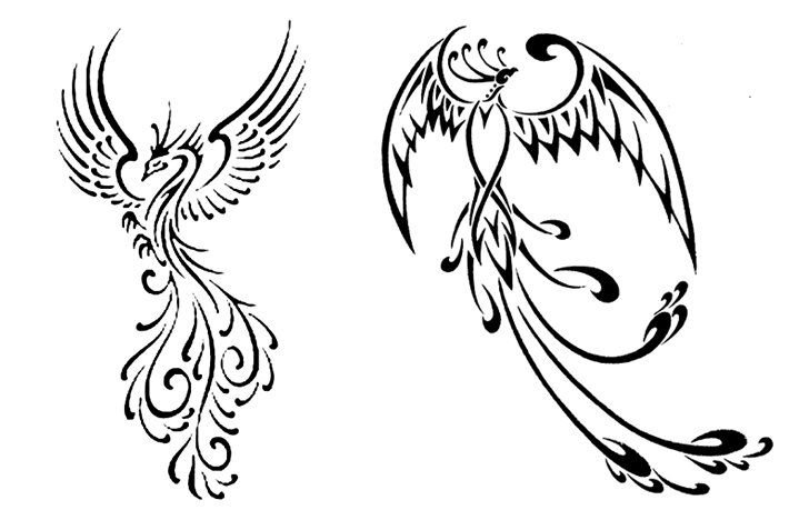 Феникс контурный рисунок