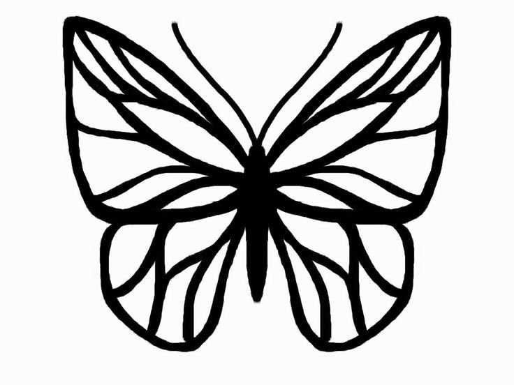 Трафареты бабочки