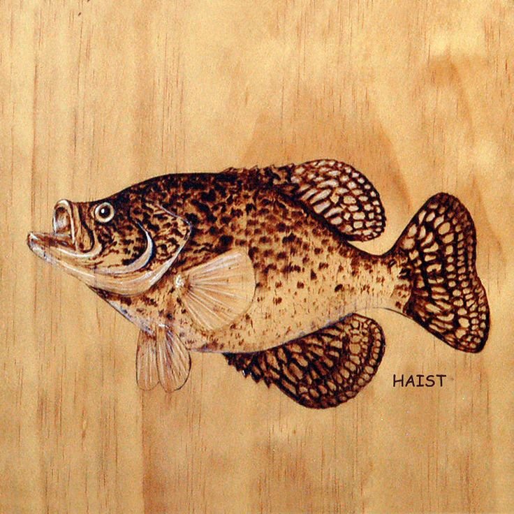 Выжигание по дереву