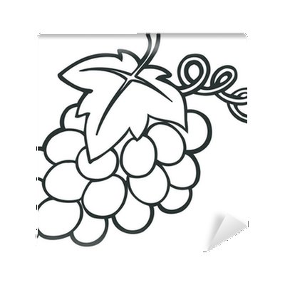 Виноград раскраска для детей