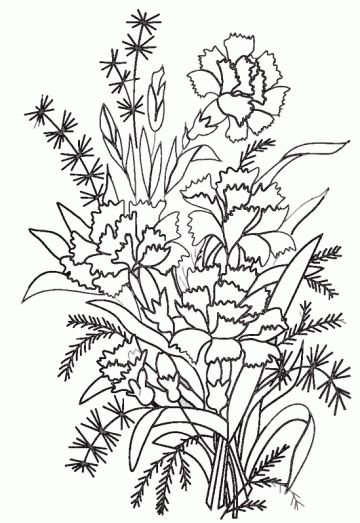 Раскраска полевых цветов
