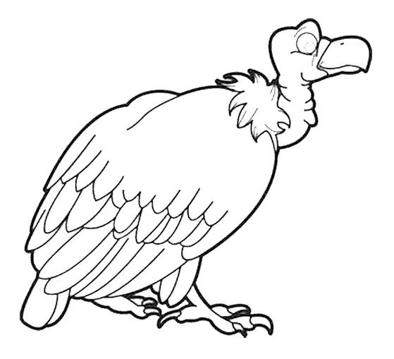 Гриф птица раскраска