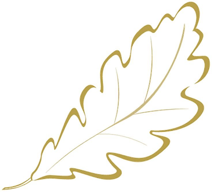 Листья шаблон