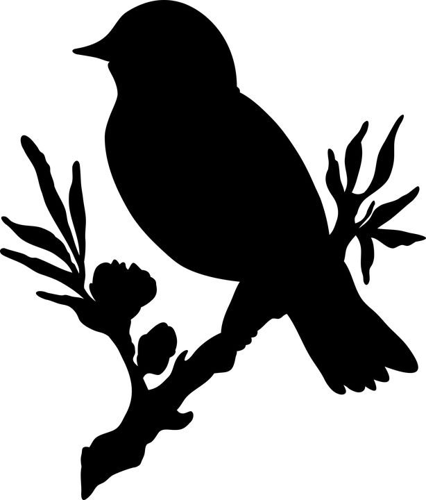 Силуэт птицы на ветке