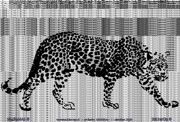 Векторные изображения животные