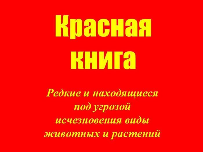 Красная книга животные обложка