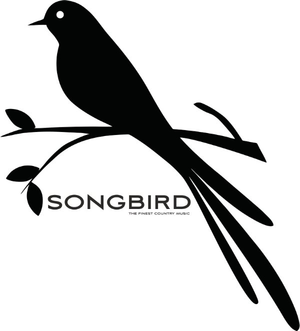 Силуэт птицы