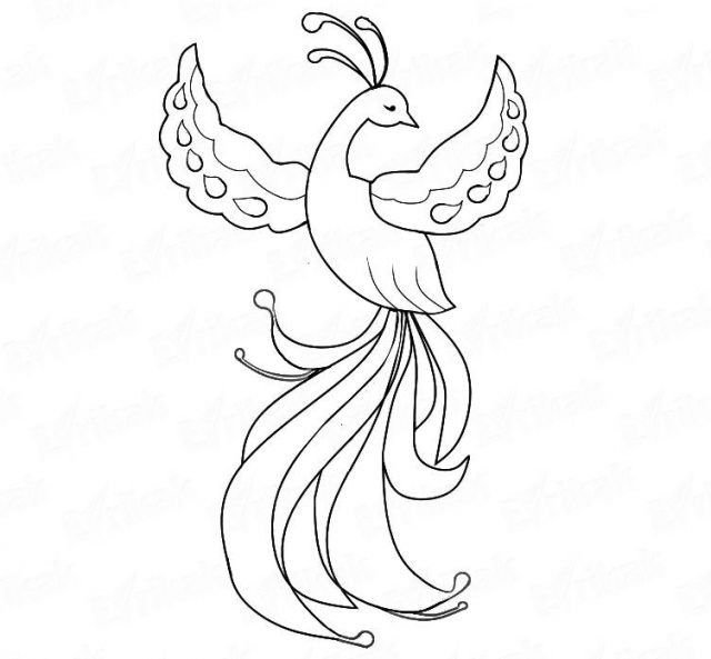 Жар птица рисунок раскраска