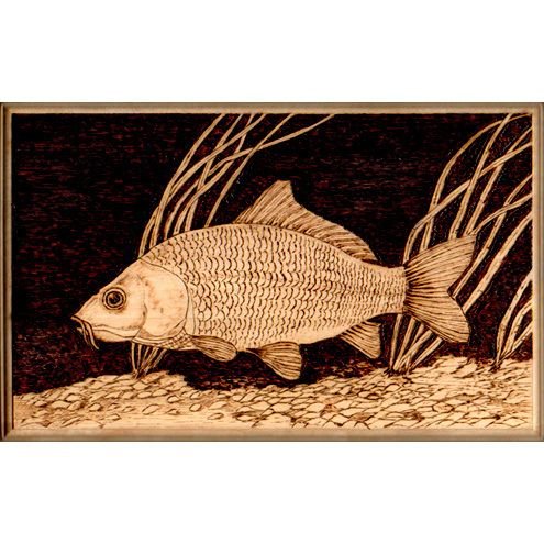 Выжигание по дереву рыба