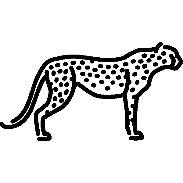 Гепард очертания