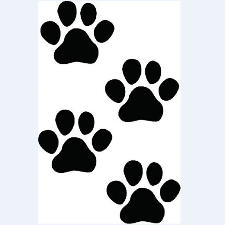 Следы разных животных для детей